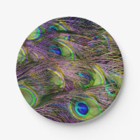 Peacock Feather