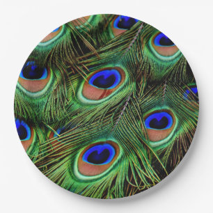 Peacock feather paper plate