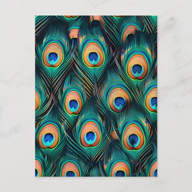Peacock Feather Pattern Postcard (Front)