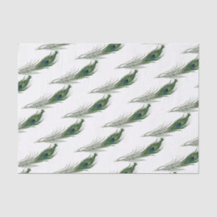 Peacock Feather Patterned   Themed  Tissue Paper