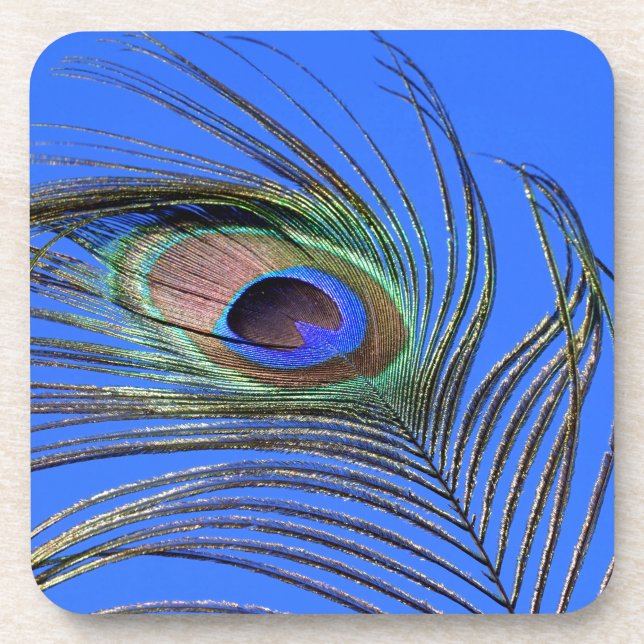 Peacock Feather Photograph Coaster (Front)