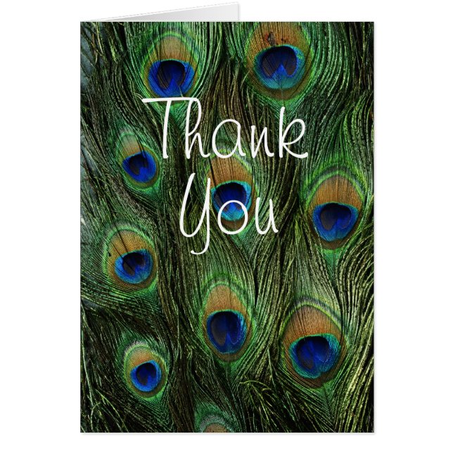 Peacock Feather Print (Front)