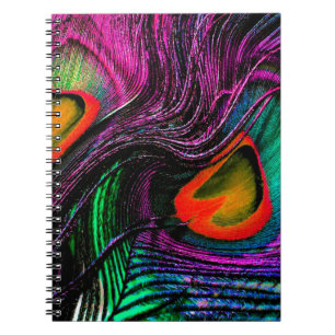 Peacock feather rainbow notebook