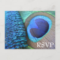 Peacock Feather RSVP Postcard