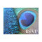 Peacock Feather RSVP Postcard