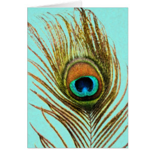 Peacock Feather Set 1107