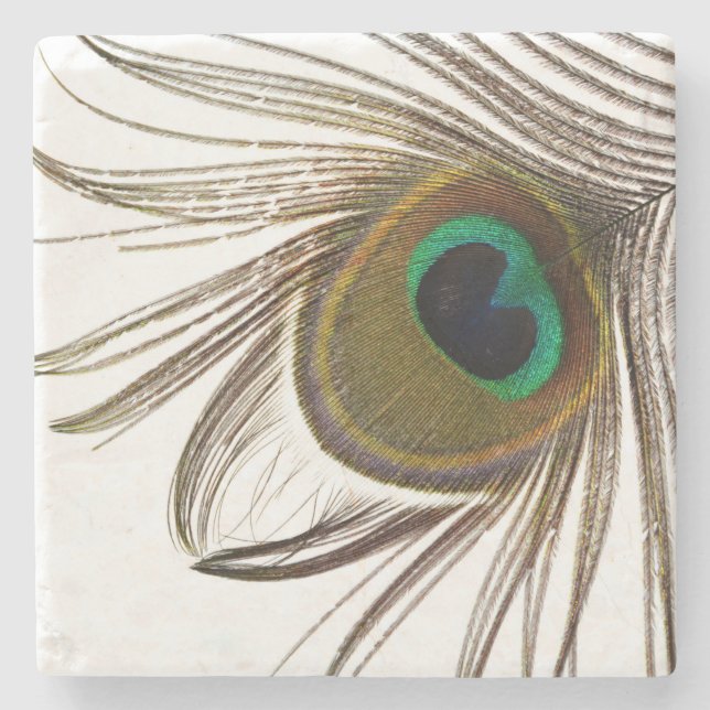  Peacock Feather    Stone Coaster (Front)