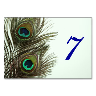 Peacock Feather Table Card
