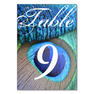 Peacock Feather Table Number cards