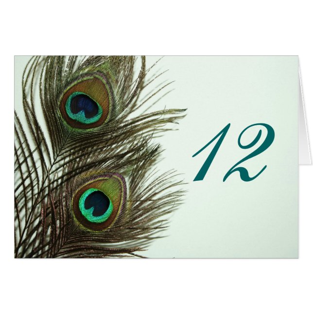 Peacock Feather Table Numbers (Front Horizontal)