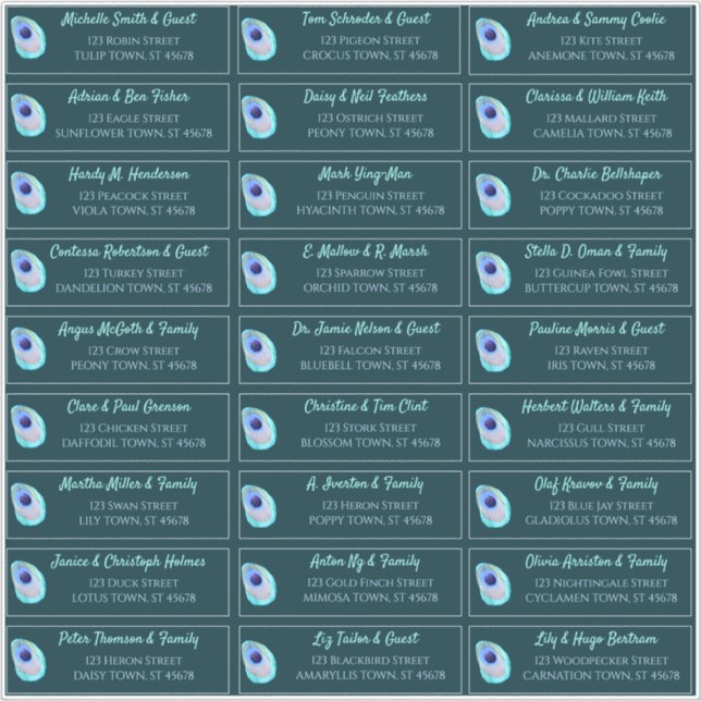 Peacock Feather Teal Modern Wedding Guest Address (Front)