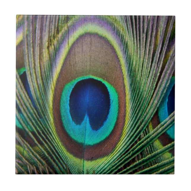 Peacock feather tile (Front)