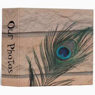 Peacock Feather with Bricks Binder