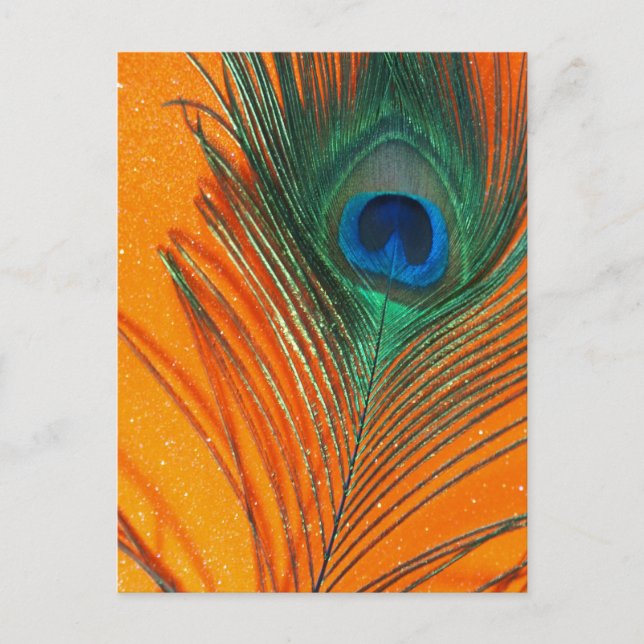 Peacock feather with Orange Glitter Still Life Postcard (Front)