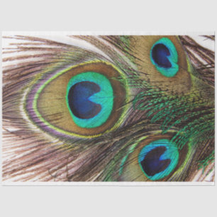 Peacock Feathers 2 Decoupage Tissue Paper