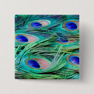 Peacock Feathers 2 Inch Square Button