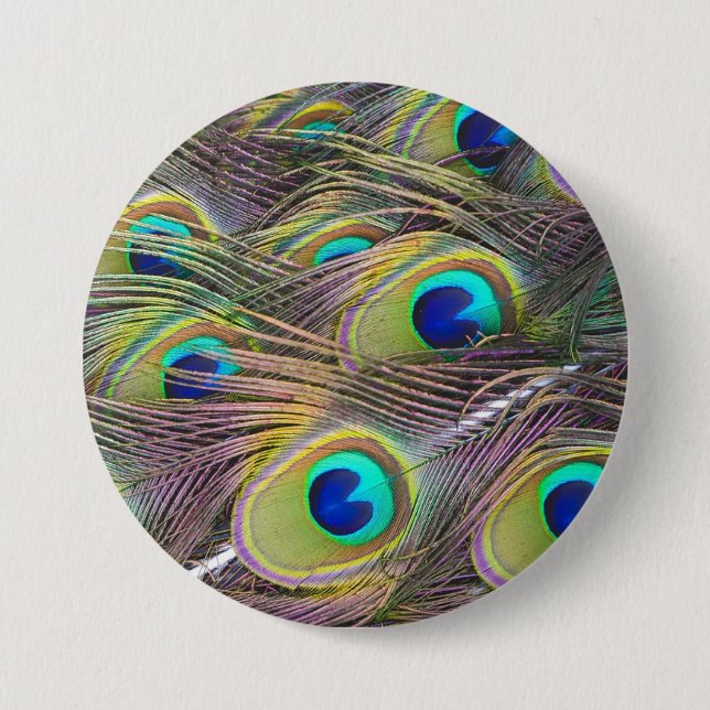 Peacock Feathers 3 Inch Round Button (Front)