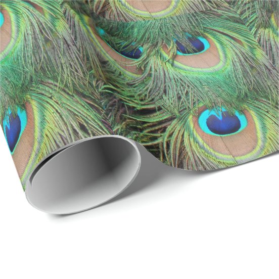 Peacock Feathers 3 Wrapping Paper Rf39c8c490a0d41d48438bc76397d4db9 Zkknu 8byvr 552 