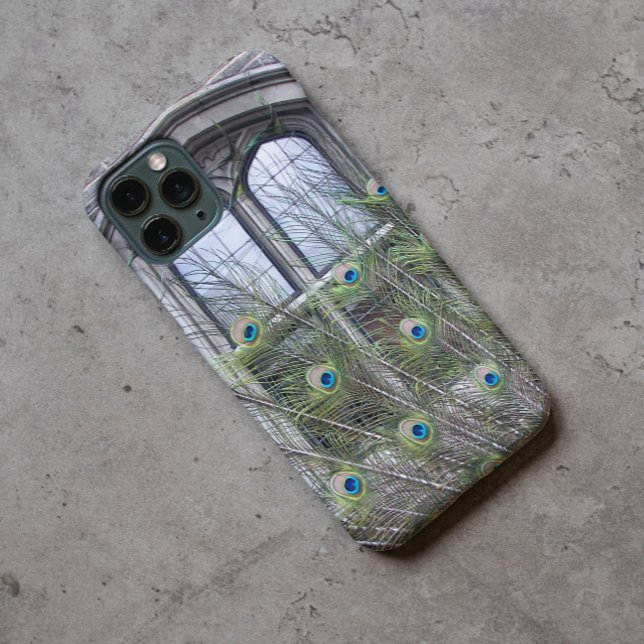 Peacock Feathers and Gothic Windows (In Situ)