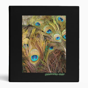 Peacock Feathers Avery Binder