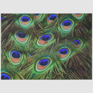 Peacock Feathers Background Decoupage Tissue Paper