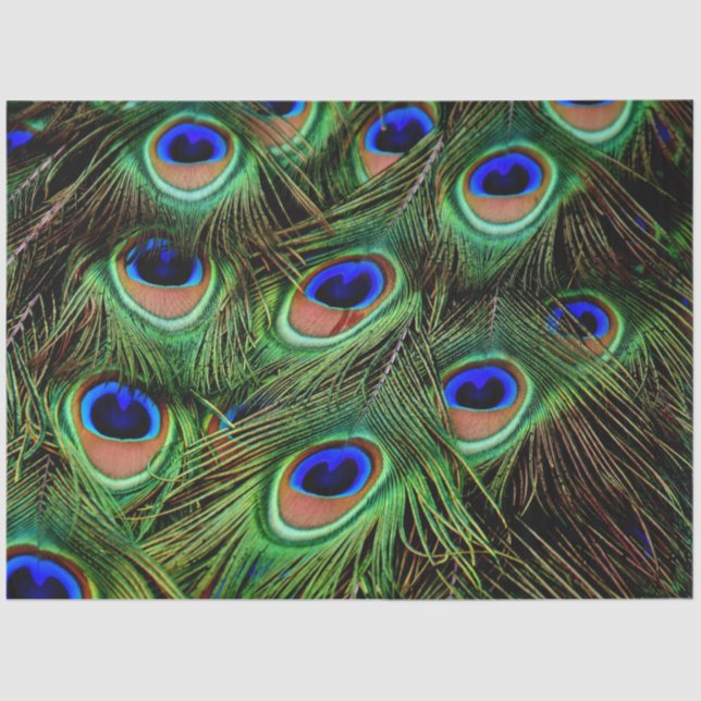 Peacock Feathers Background Decoupage Tissue Paper (Front)