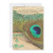 PEACOCK FEATHERS Beach Wedding Invitation