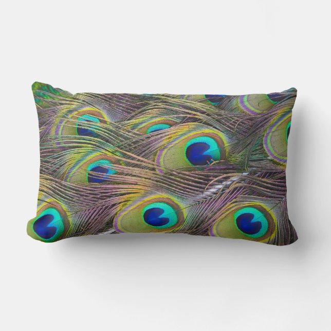 Peacock Feathers Bird Decorative Throw Pillow (Front)