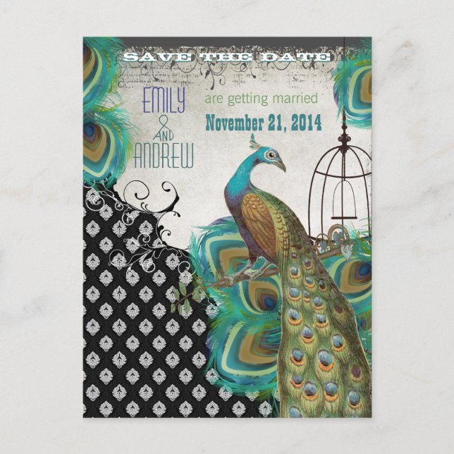 Peacock Feathers Birdcage Save the Date Announcement Postcard (Front)