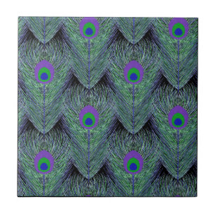 Peacock Feathers Black Background Tile
