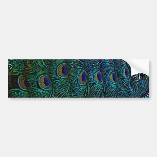 Peacock Feathers Bumper Sticker (Front)