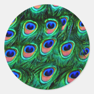 Peacock feathers_ classic round sticker