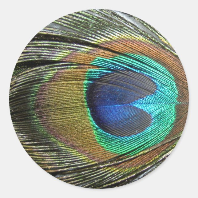 Peacock Feathers Classic Round Sticker (Front)
