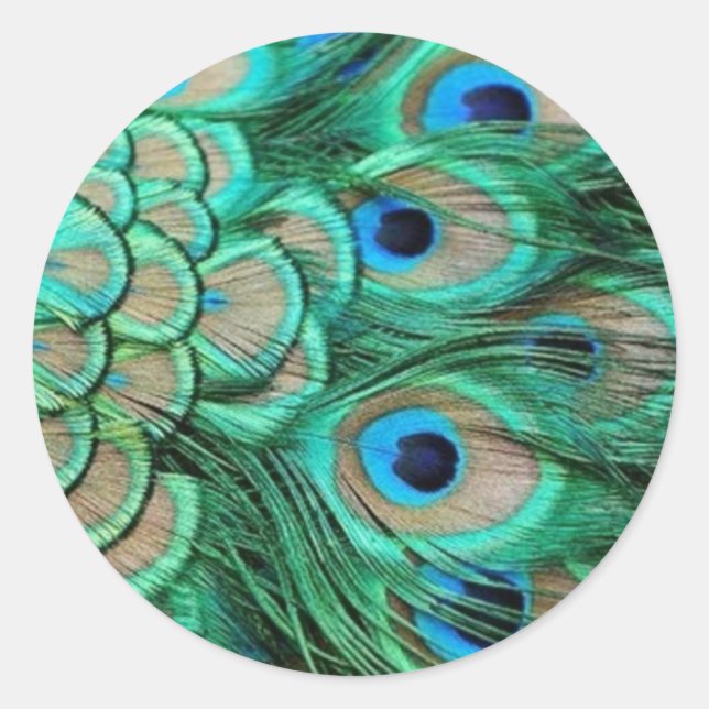 PEACOCK FEATHERS CLASSIC ROUND STICKER (Front)