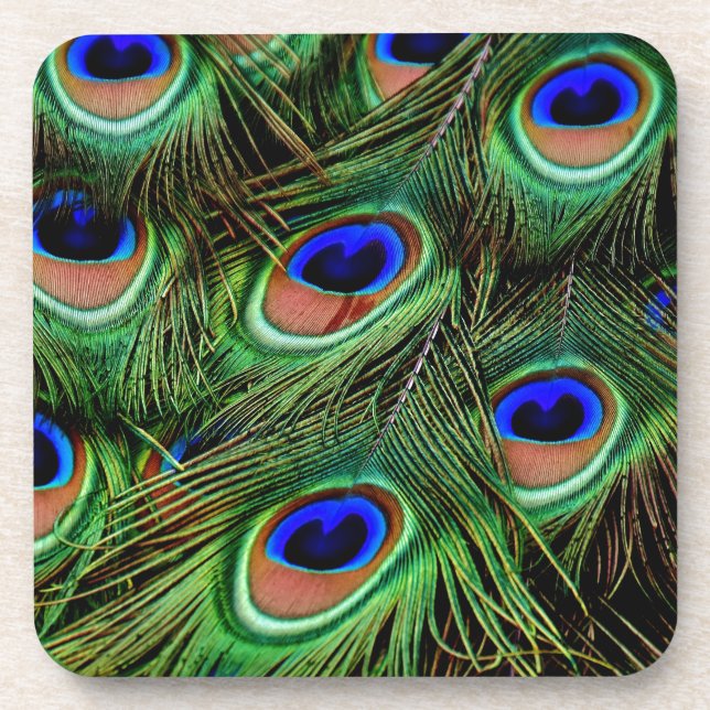 Peacock Feathers Coaster (Front)