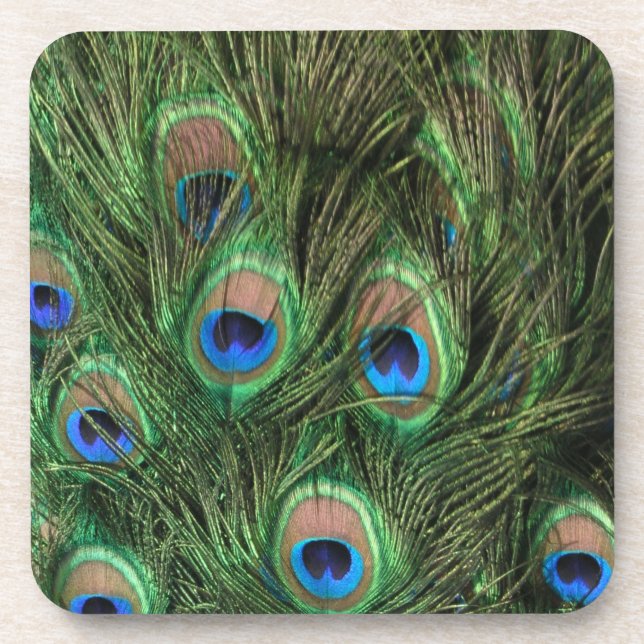 Peacock Feathers Coaster (Front)