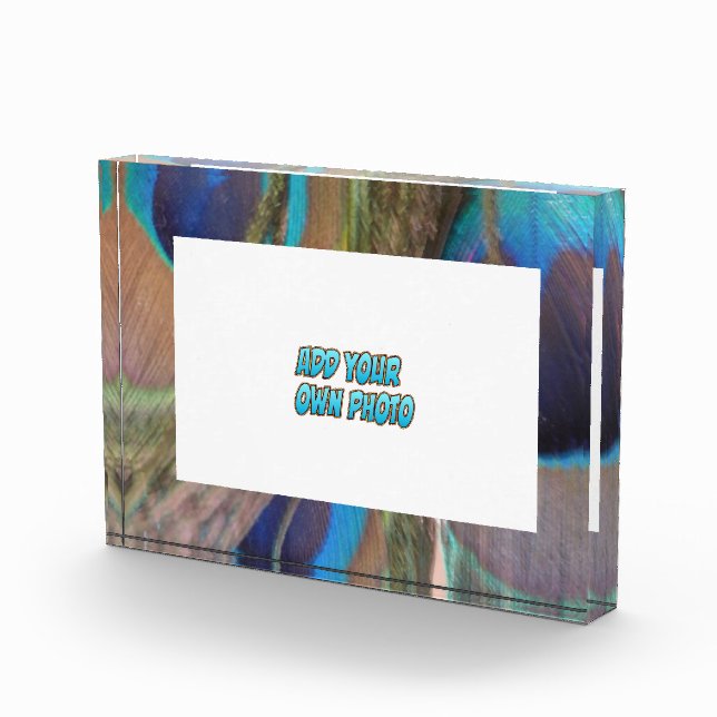 Peacock Feathers Customizable Photo Block (Right)