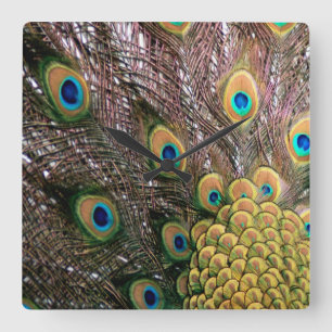 Peacock Feathers Emerald Green and Gold Square Wall Clock