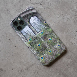 Peacock Feathers et Gothic Windows Photo