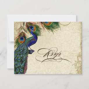 Peacock & Feathers Formal RSVP Response Cream