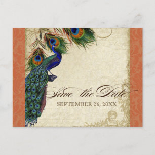 Peacock & Feathers Formal Save the Date Orange Announcement Postcard