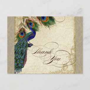 Peacock & Feathers Formal Thank You Note Aqua Blue Postcard