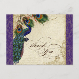 Peacock & Feathers Formal Thank You Note Purple Postcard