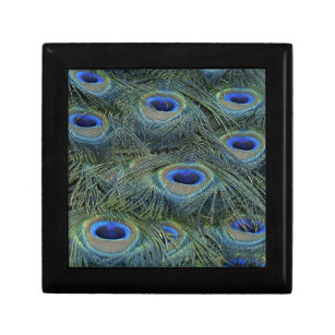 Peacock Feathers Gift Box