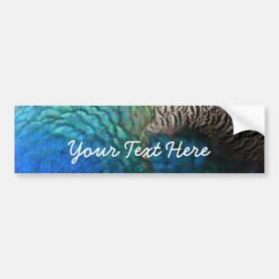 Peacock Feathers I Bumper Sticker