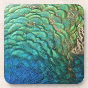 Peacock Feathers I Colorful Abstract Nature Design Coaster