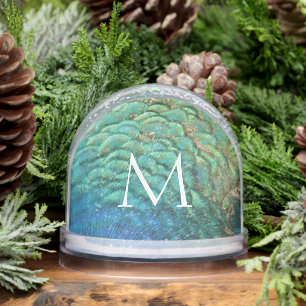 Peacock Feathers I Colorful Abstract Nature Design Snowglobe