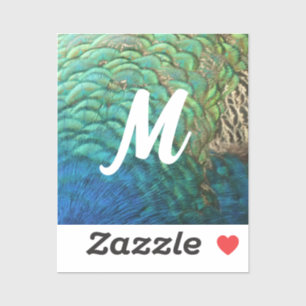 Peacock Feathers I Colourful Abstract Nature Desig