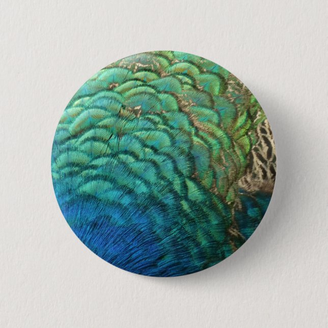 Peacock Feathers I Colourful Abstract Nature Desig 2 Inch Round Button (Front)