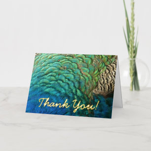 Peacock Feathers I Colourful Abstract Nature Desig Foil Greeting Card